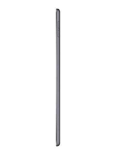 Apple iPad Mini (Wi-Fi, 64GB) - Space Gray (Latest Model)